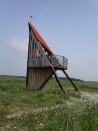 Kollumerwaard - Uitkijktoren De Baak